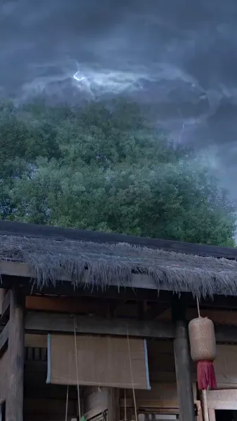 รักจากแม่เสือ