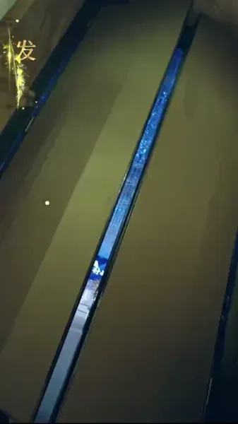  เมียเก่าพันล้าน พี่ชายสามคนตามโอ๋สุดๆ