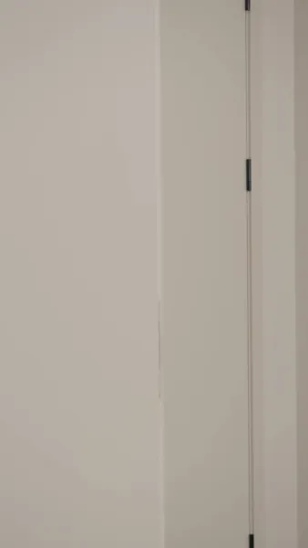 เลขาหนุ่มสุดหวานของประธาน