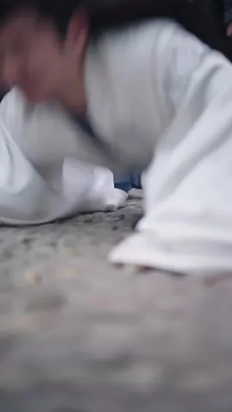 นักยุทธ์ติดดิน ดาบพุ่งทะยาน