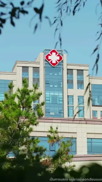 ประกายรักกลางหมอกเมฆ