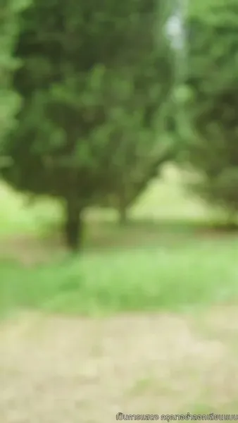 ประกายรักกลางหมอกเมฆ