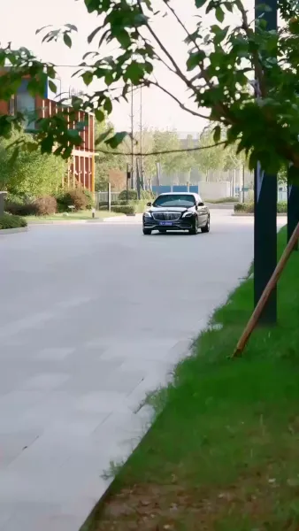 ราชสารมังกรเดือด