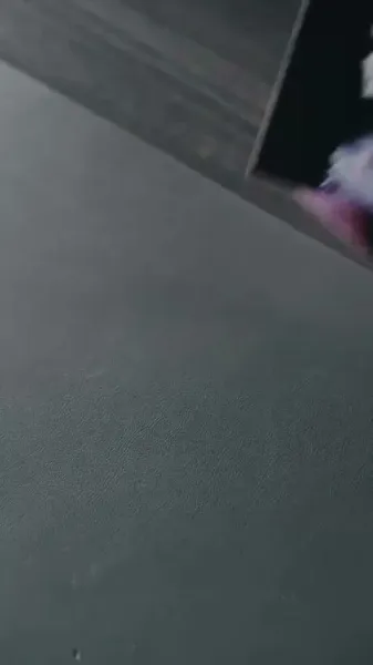 ทาสด้วยความเต็มใจ