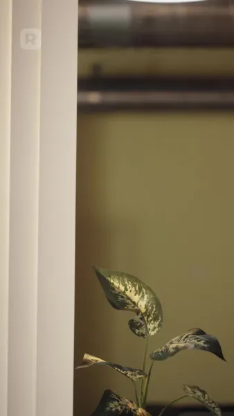 ยอมใจต่อเจ้านายผู้แสนอันตราย