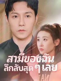 สามีของฉันลึกลับสุด ๆ เลย