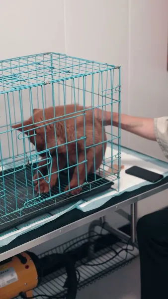 ชีวิตพลิกเพราะส่งอาหาร