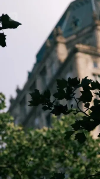 (พากย์) ราชินีผู้กำเนิดใหม่จากเถ้าธุลี