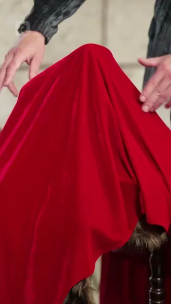 (พากย์) ราชินีผู้กำเนิดใหม่จากเถ้าธุลี