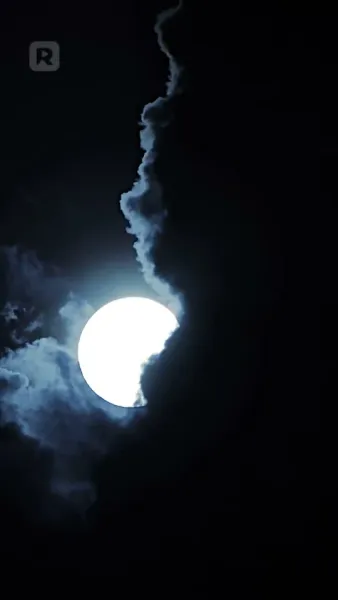 (พากย์) ราชินีผู้กำเนิดใหม่จากเถ้าธุลี