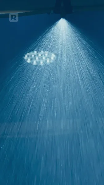 เกิดใหม่จากหลังรักแรกการทรยศ