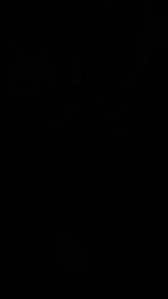 ครึ่งเดือนหนึ่งใจ