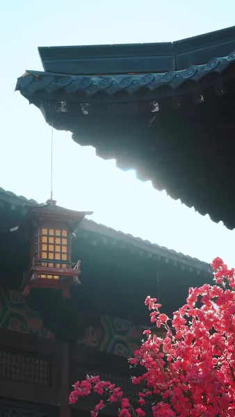 ครึ่งเดือนหนึ่งใจ