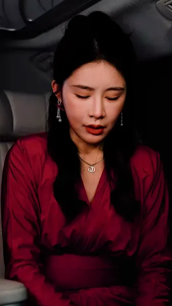 การเปิดตัวของเขยมังกร(พากย์ไทย)