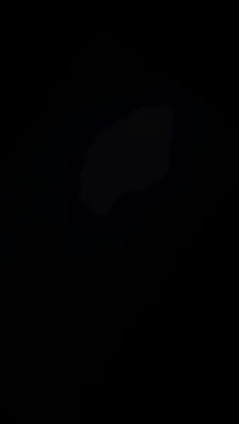 แม่ของฉันไม่ลำเอียงแล้ว