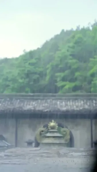 จากไปพลางโศกศัลย์