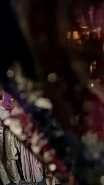 จากไปพลางโศกศัลย์