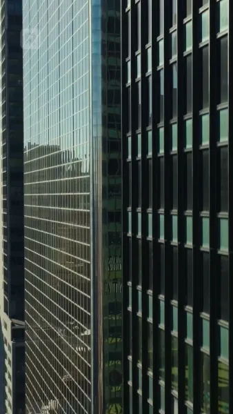 บอดี้การ์ดที่ฉันเกลียด