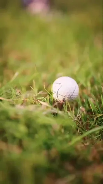 มันจบแล้ว! สาวน้อยน้ำตาลของฉันคือเจ้าแม่มาเฟีย