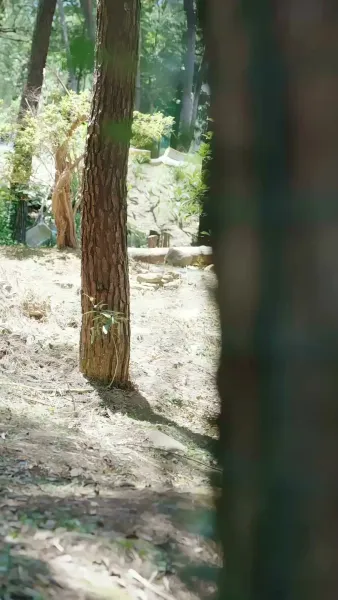 เจ้าหญิงน้อยแห่งพรรณไม้