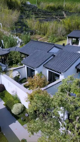 รหัสลับของสายเลือด