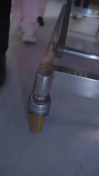 รหัสลับของสายเลือด