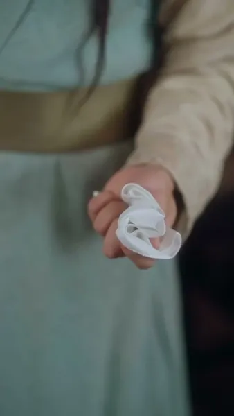 หวนแค้นลิขิตหงส์