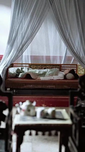 หวนแค้นลิขิตหงส์