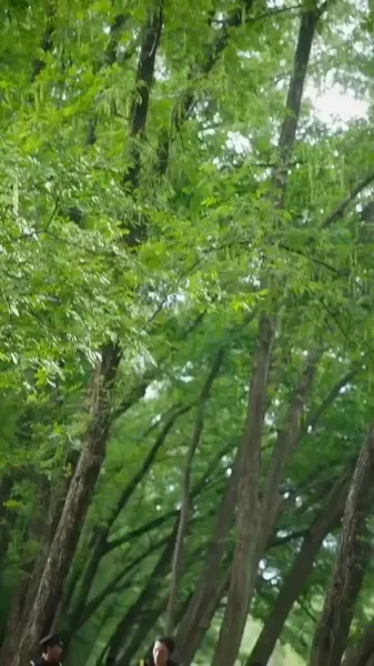 จัสมินที่รัก