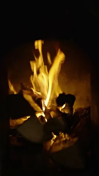 ข้าย้อนเวลามาเป็นหนุ่มเจ้าเสน่ห์