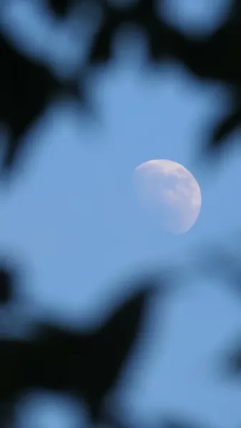 แต่งงาน ในแอปหาคู่