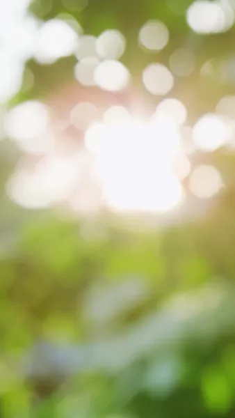 แต่งงาน ในแอปหาคู่