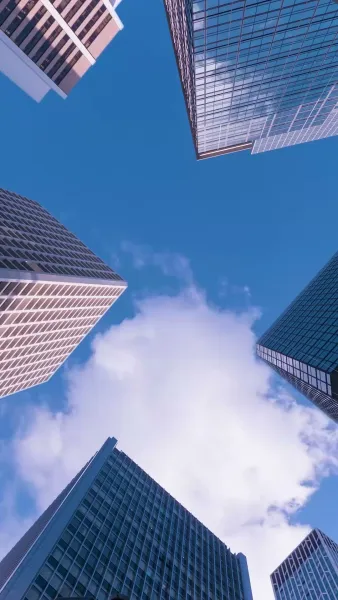 แต่งงาน ในแอปหาคู่