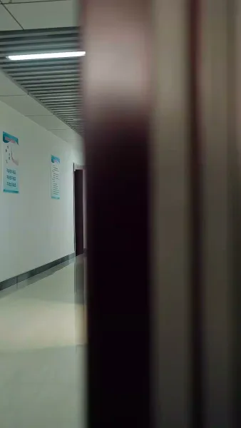 มังกรคืนชีพ