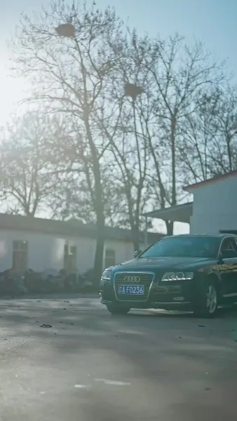 มังกรคืนชีพ