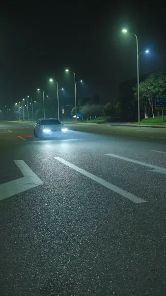 เรื่องรักกุหลาบไฟ(พากย์ไทย)