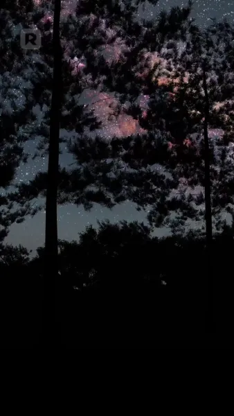 รักฉันหลังจากที่ฉันตาย