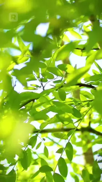 ยอมศิโรราบต่อเสน่ห์ของเธอ