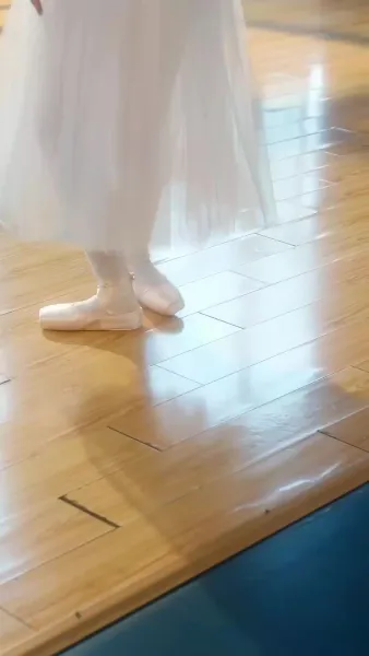 หงส์ขาวกับทะเลพิศวาส