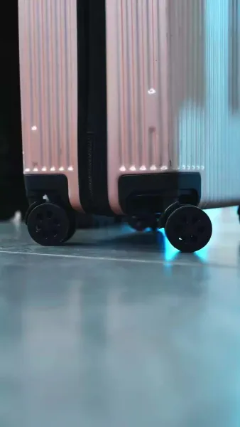 หงส์ขาวกับทะเลพิศวาส