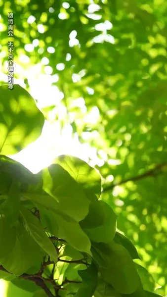 คนในฝันกลายเป็นพ่อของลูก