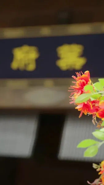 ชีวิตนี้ ฉันกำหนดเอง(พากย์เสียง)