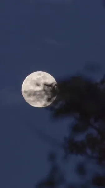 รักต้องห้ามของเมียน้อย