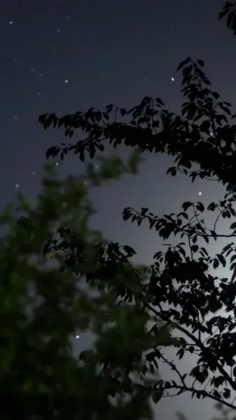 รักต้องห้ามของเมียน้อย