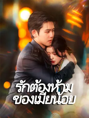 รักต้องห้ามของเมียน้อย