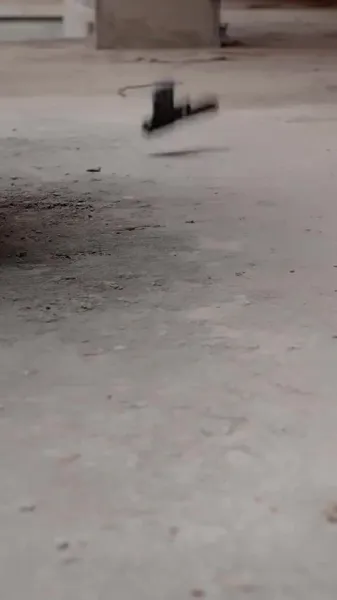 นักเวทมนตร์ผู้ยิ่งใหญ่