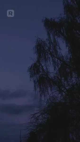 ลูกสาวของอัลฟ่า