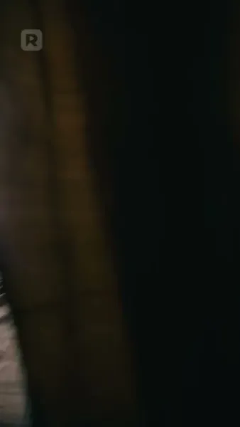 ลูกสาวของอัลฟ่า