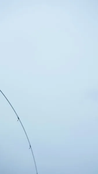 ผมไม่ใช่เทพประมง