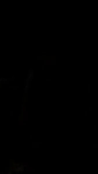 หัวใจในกำมือนายมาเฟีย（ฉบับพากย์ ）